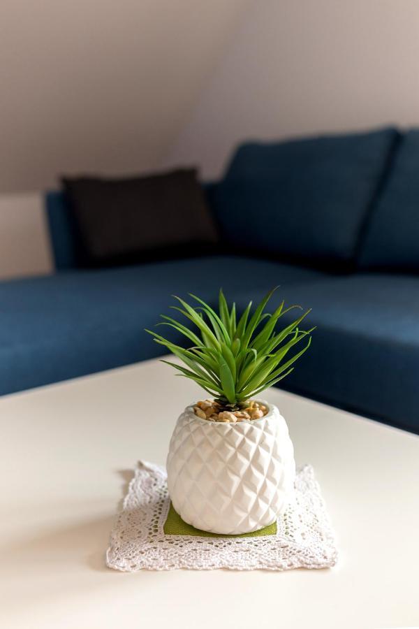 Apartmaji Rupnik Bohinjska Bistrica Luaran gambar