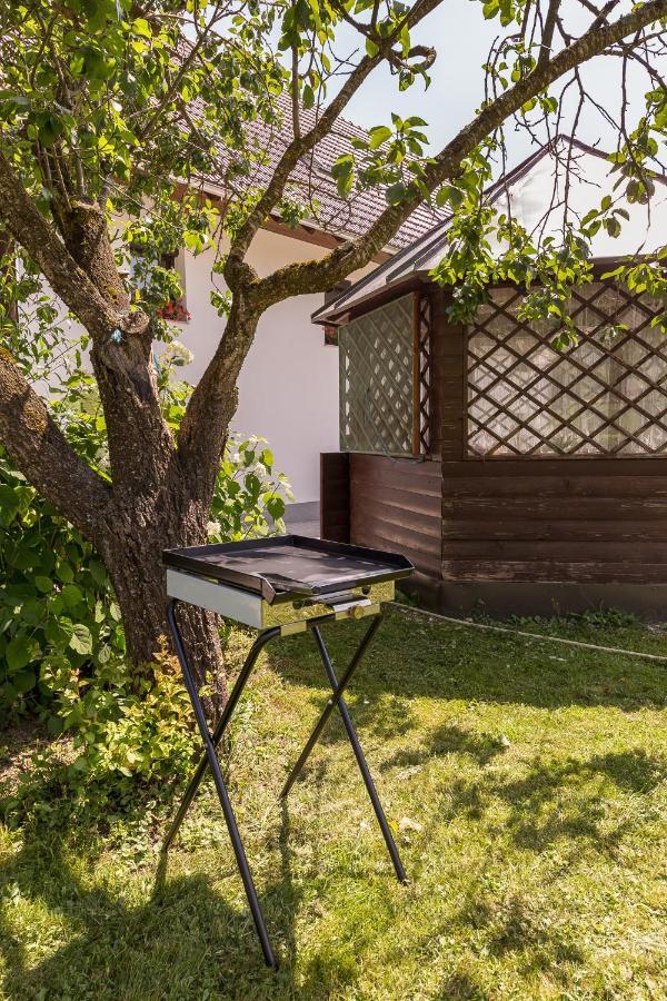 Apartmaji Rupnik Bohinjska Bistrica Luaran gambar