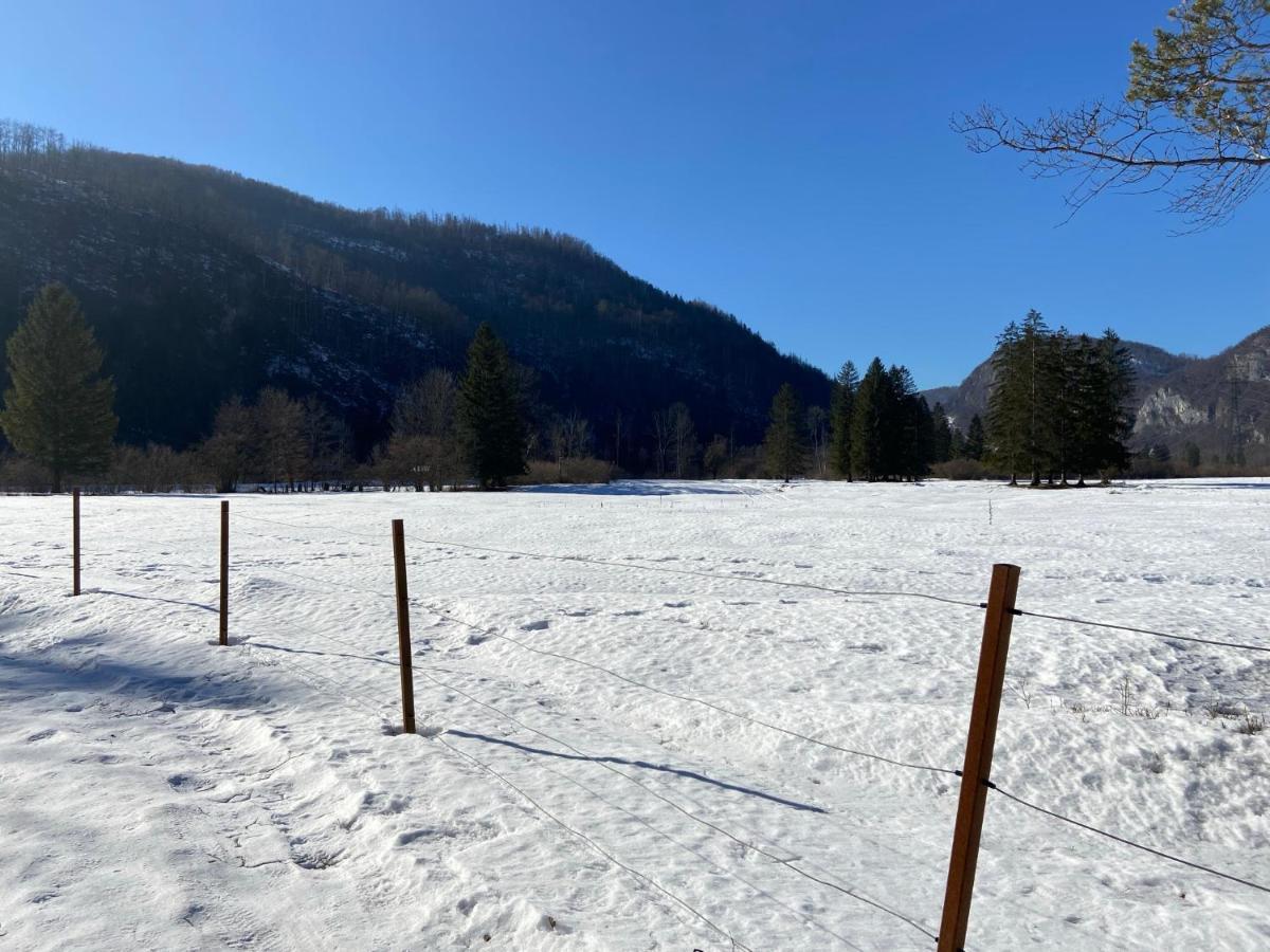 Apartmaji Rupnik Bohinjska Bistrica Luaran gambar