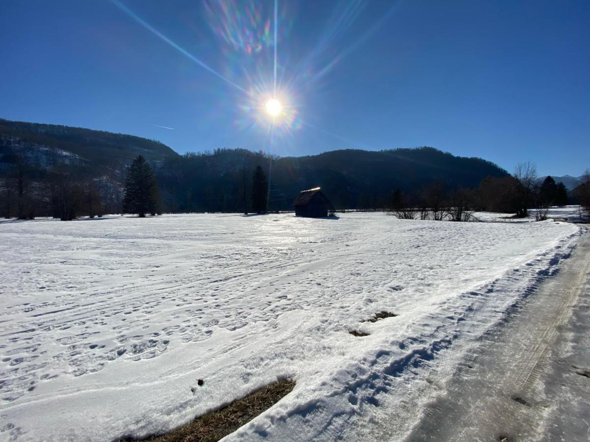 Apartmaji Rupnik Bohinjska Bistrica Luaran gambar